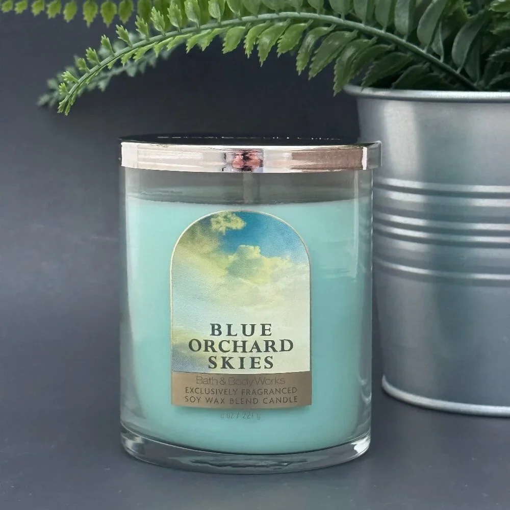 BBW Blue Orchard Skies Bath & Body Works Single Wick Candle